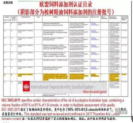 2024新澳今晚資料雞號幾號,快速解答方案實踐_UEU25.390安全版