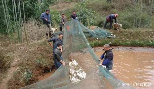 晉城張少波，自然美景中的內(nèi)心平和之旅最新消息