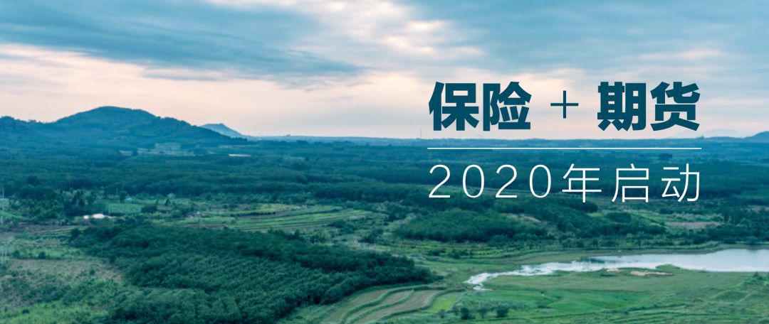 天然橡膠期貨最新動態(tài)，探索自然美景的鼓舞之旅