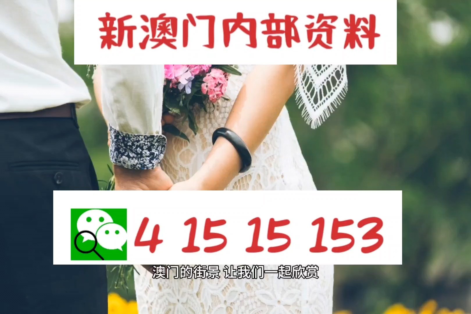 2024新澳門(mén)精準(zhǔn)資材免費(fèi),數(shù)據(jù)解答解釋定義_4DM76.679-3