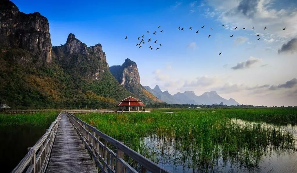 湖北千木靈芝最新動態(tài)，自然美景的探索之旅，尋找內(nèi)心的平和與和諧