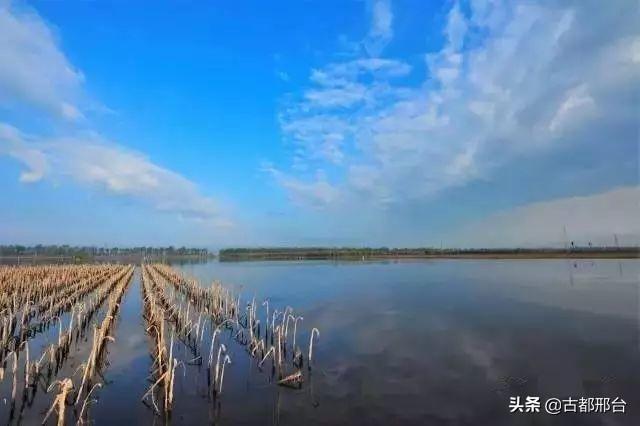 東錢湖沙家墊最新動態(tài)，夏日記憶里的溫馨之地