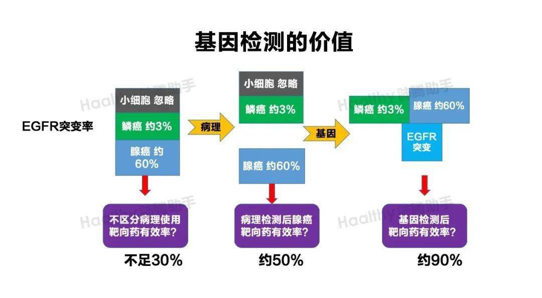 新奧最精準(zhǔn)免費(fèi)大全官方版亮點(diǎn)分享,信息明晰解析導(dǎo)向_實(shí)驗(yàn)版95.599