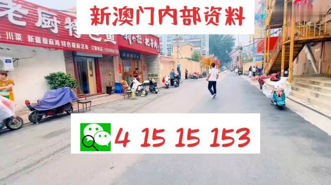 2024澳門天天開好彩免費大全,專業(yè)解讀操行解決_養(yǎng)生版73.556