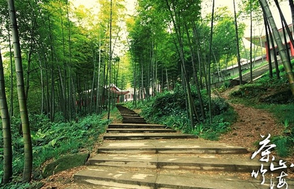 永川茶山竹海探秘，小巷中的隱藏瑰寶新發(fā)現(xiàn)