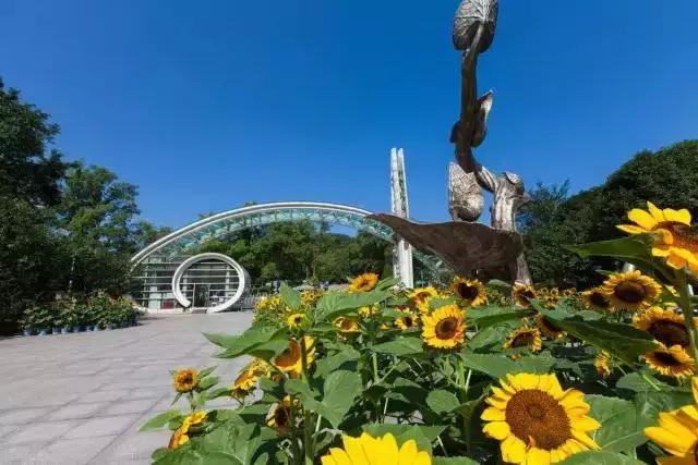 廈門植物園最新探索之旅，自然美景盡收眼底