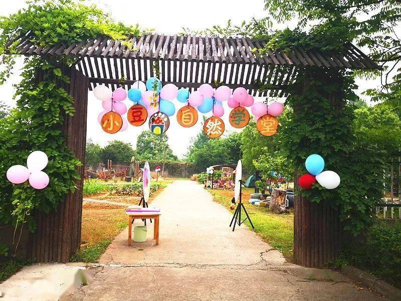 探索神秘樂園，獨特幼兒園之旅，遇見最新幼兒園教師