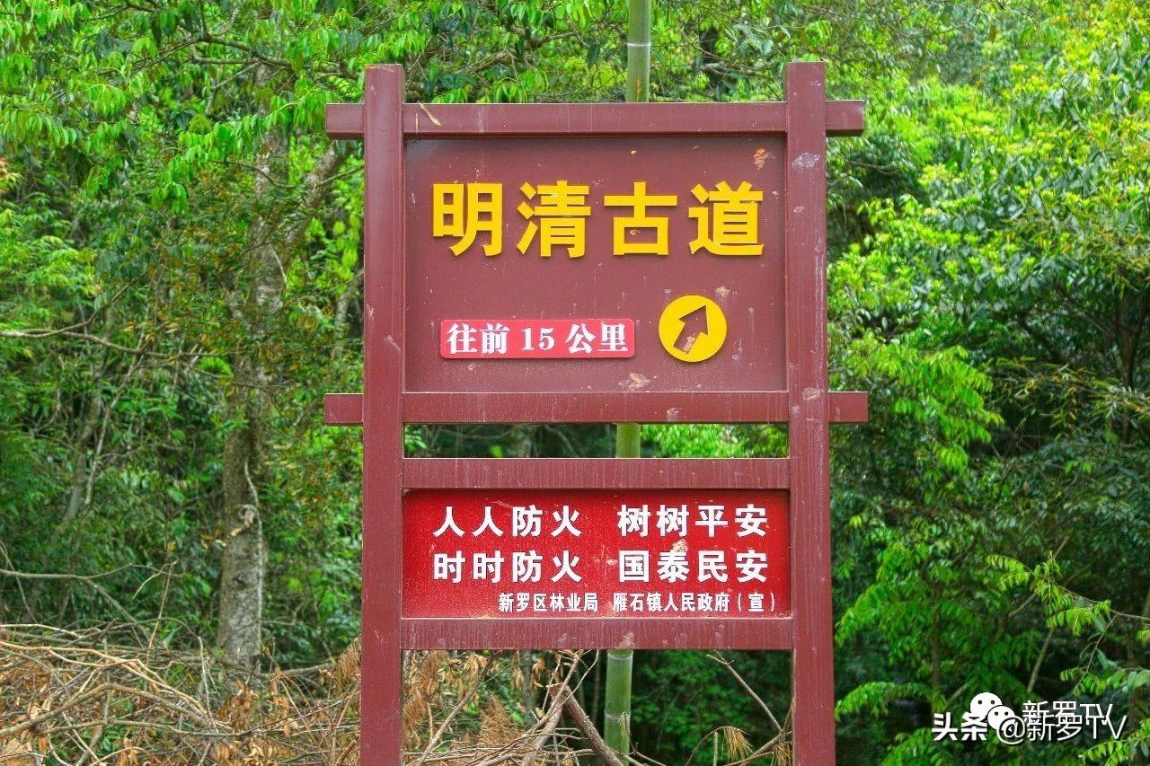 歷史最新價(jià)背后的自然美景之旅，尋找內(nèi)心平和的旅程