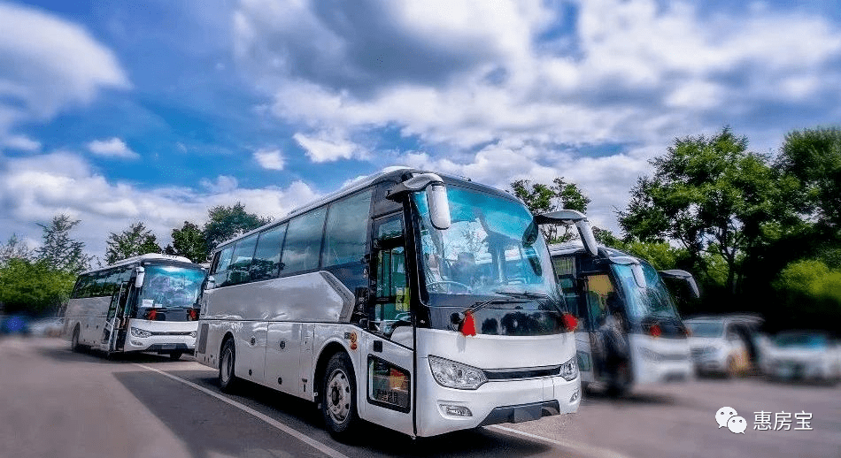 最新班車(chē)信息，啟程自然美景探索之旅