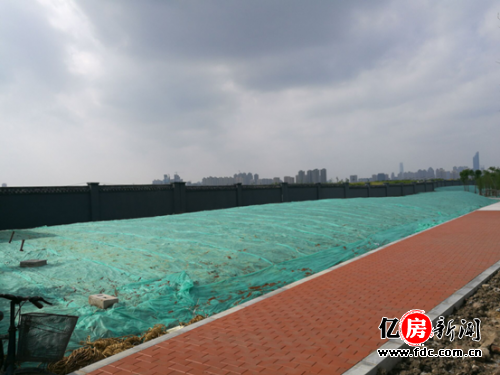 漢陽四新方島最新動態(tài)，自然美景的探索之旅，尋覓內(nèi)心平和與寧靜