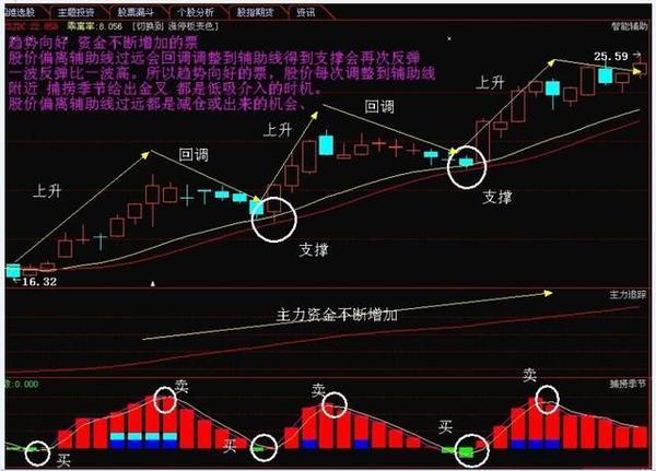 王子新材最新股票動態(tài)，自然美景的探索之旅啟程！