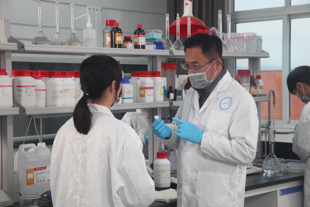 峨眉人才最新招聘信息，求職全步驟指南及招聘動態(tài)更新