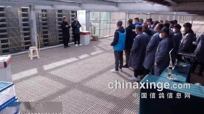 寶耐公棚最新公告，自然美景探索之旅邀請