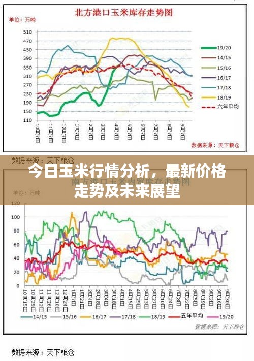 今日玉米糧價行情分析，市場走勢展望與最新消息報告
