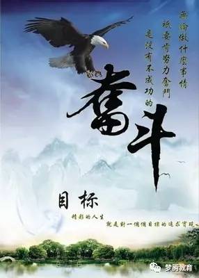 破繭成蝶，輝煌旅程的勵(lì)志故事