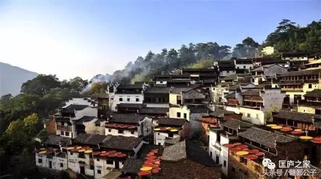 武清通最新動(dòng)態(tài)揭秘，小巷深處的獨(dú)特風(fēng)味探索
