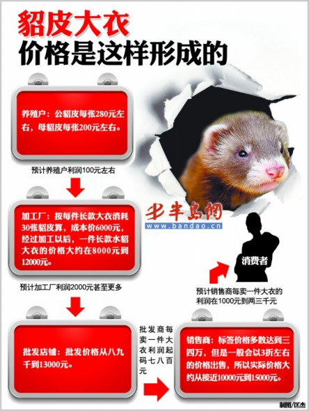 最新水貂價格，蛻變的力量與學(xué)習(xí)的魅力